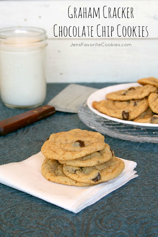 chocolate chip cookie