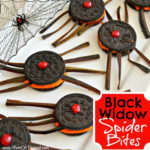 Black Widow Spider Bites Square