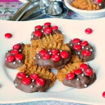 Gluten-Free-Peanut-Butter-Cookies-Recipe