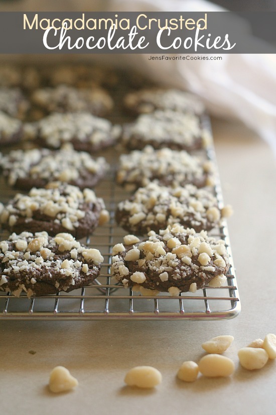 Macadamia Crusted Chocolate Cookies from JensFavoriteCookies.com 