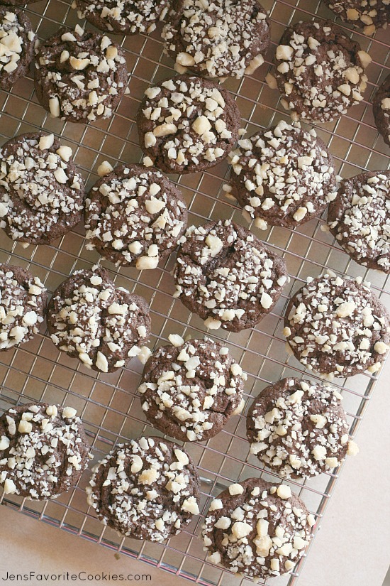 Macadamia Crusted Chocolate Cookies from JensFavoriteCookies.com 