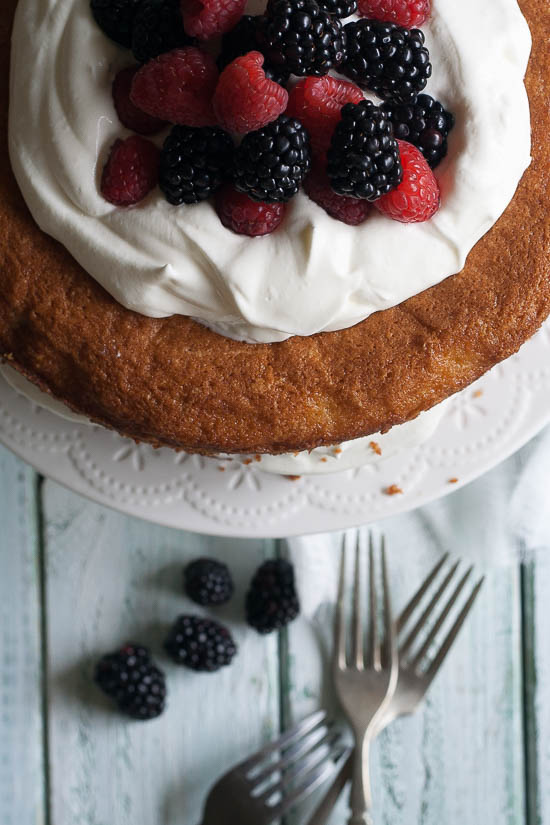 chocolate-chip-cake 