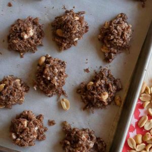 Rocky Road No-Bake Cookies from JensFavoriteCookies.com 