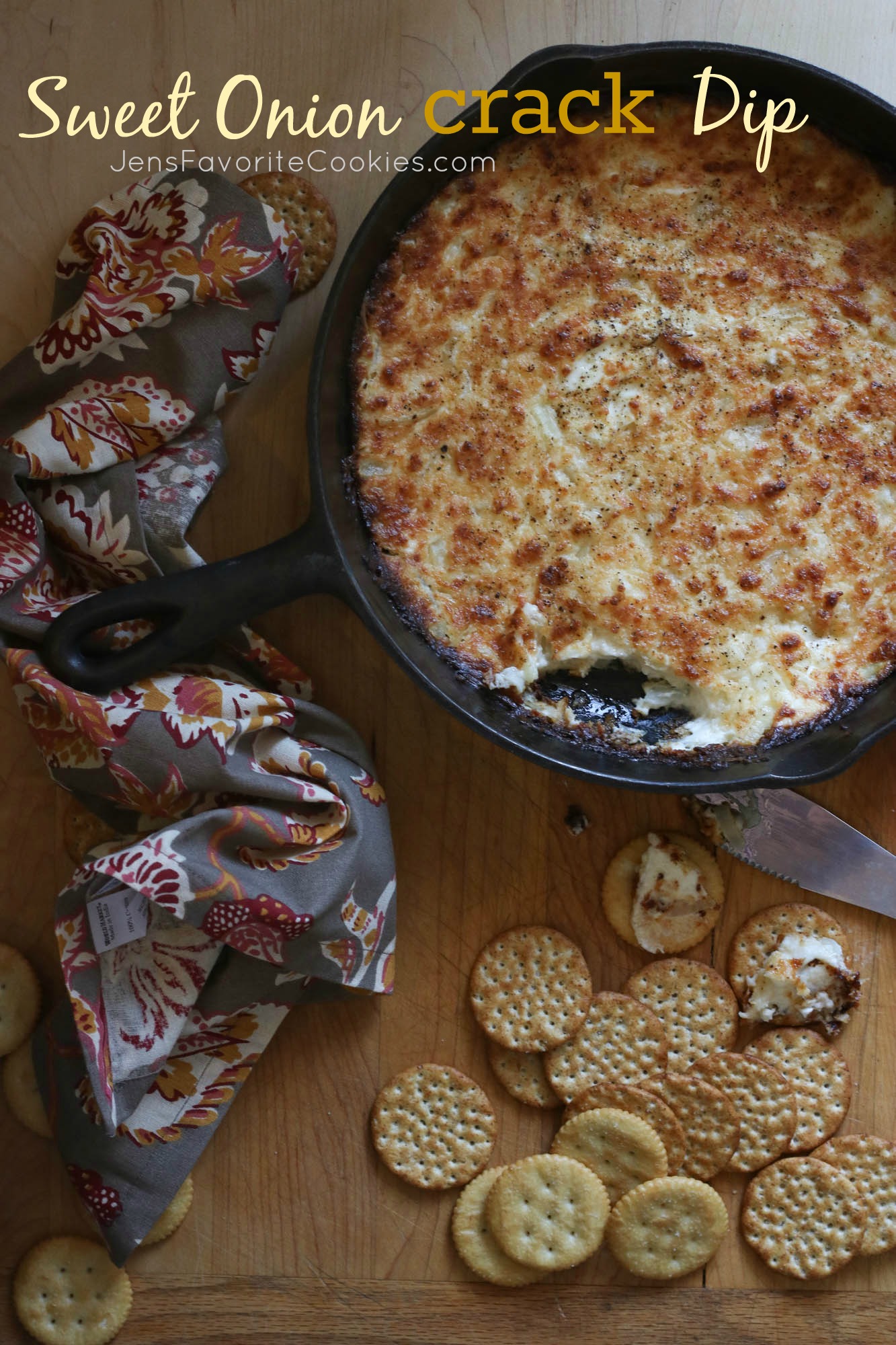 Sweet Onion Crack Dip from Jen's Favorite Cookies