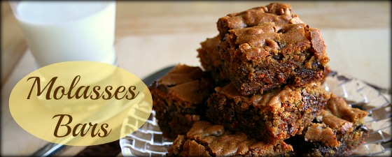 molasses chocolate chip bars