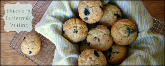 blueberry muffin recipe