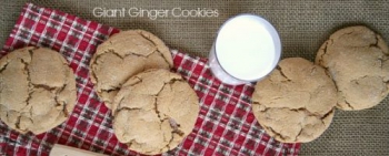 Giant Ginger Cookies