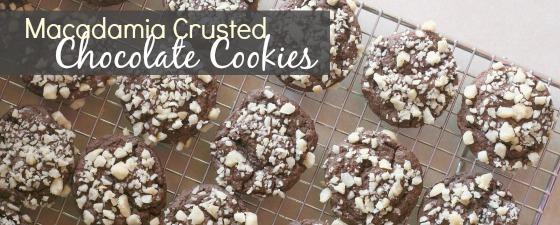 easy-chocolate-cookies