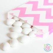 Pink Chevron Goodie Bags