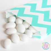 Teal Chevron Goodie Bags