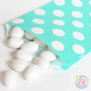 Teal Dots Goodie Bags