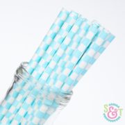 Light Blue Checkered Paper Straws