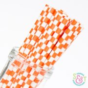 Orange Checkered Paper Straws