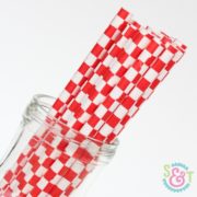 Red Checkered Paper Straws