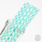 Teal Checkered Paper Straws