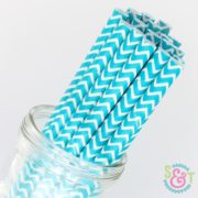 Aqua Chevron Paper Straws