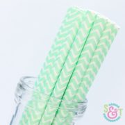 Mint Chevron Paper Straws