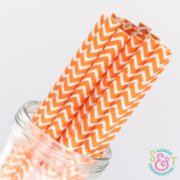 Orange Chevron Paper Straws