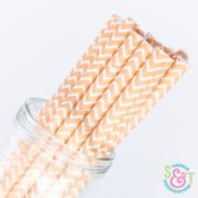 Peach Chevron Paper Straws