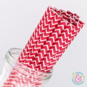 Red Chevron Paper Straws