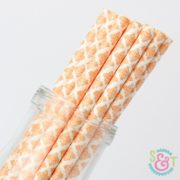 Orange Damask Paper Straws