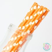 Orange Dots Paper Straws