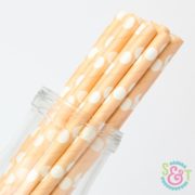 Peach Dots Paper Straws