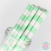 Mint Rugby Stripe Paper Straws