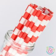 Coral Rugby Stripe Paper Straws