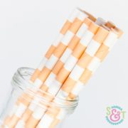 Peach Rugby Stripe Paper Straws