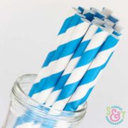 Blue Stripe Paper Straws