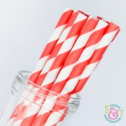 Coral Stripe Paper Straws