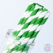 Green Stripe Paper Straws