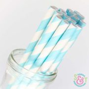 Light Blue Stripe Paper Straws