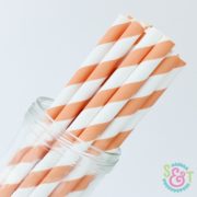 Light Orange Stripe Paper Straws