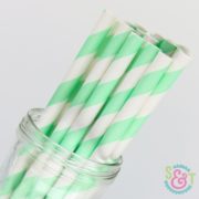 Mint Stripe Paper Straws