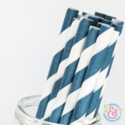 Navy Stripe Paper Straws