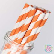 Orange Stripe Paper Straws