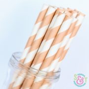 Peach Stripe Paper Straws