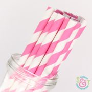 Pink Stripe Paper Straws