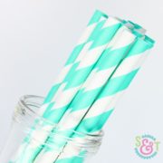 Aqua Stripe Paper Straws