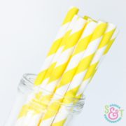 sweetsandtreats-paper-straws-angle-stripe-yellow-wm_1